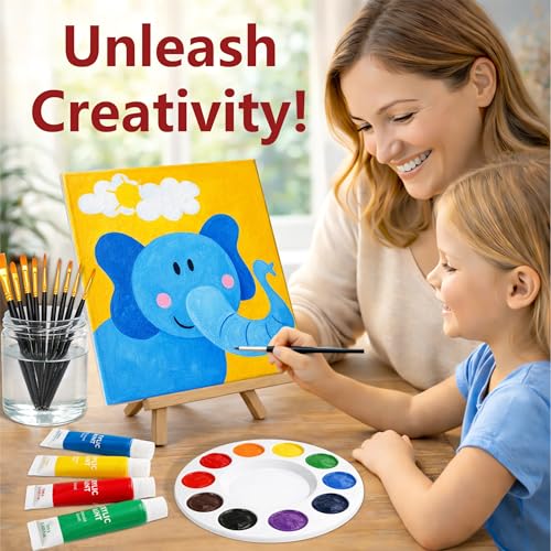 MISUMISO 24-Color Acrylic Painting Kit for Beginners