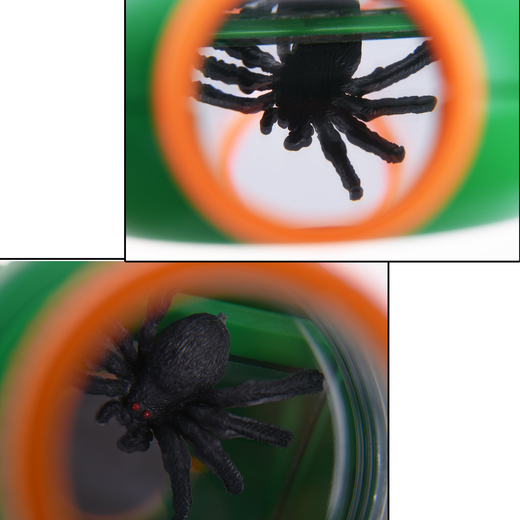 Beautyflier 5X Insect Magnifier Bug Viewer for Kids