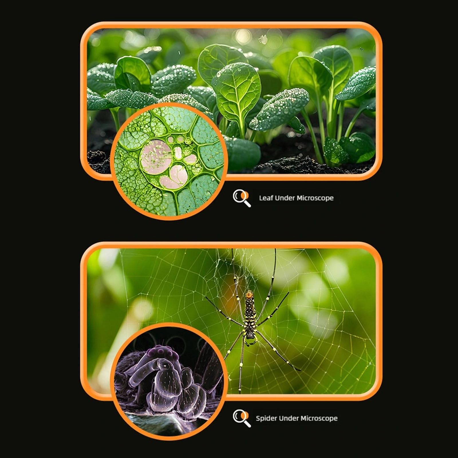 Easy-Use Illuminated ABS Microscope for Science Learning