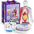 Science Can 11-Inch Talking Human Body Anatomy Model