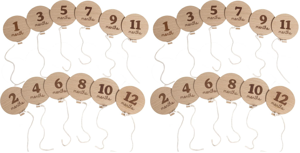 Kate & Milo Baby Monthly Milestone Photo Prop Discs