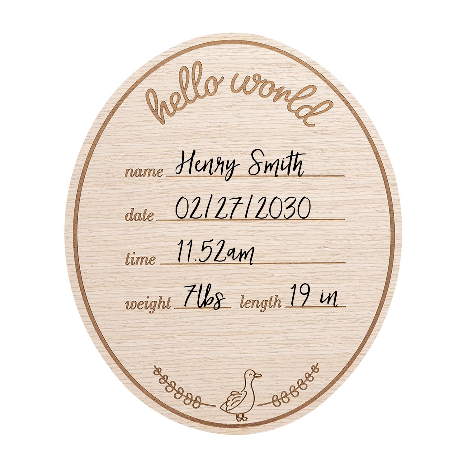Kate & Milo Baby Monthly Milestone Photo Prop Discs