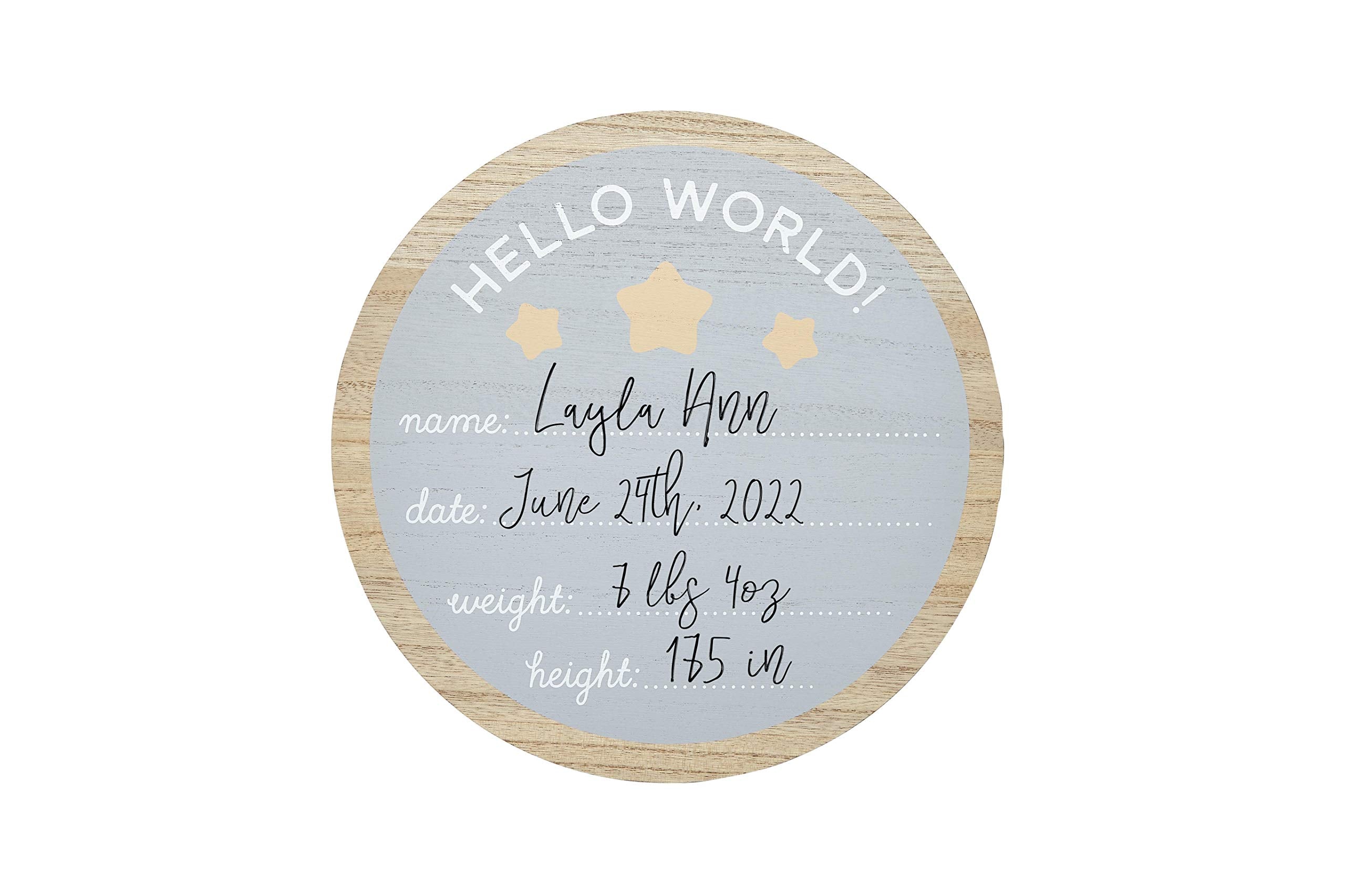 Kate & Milo Baby Monthly Milestone Photo Prop Discs