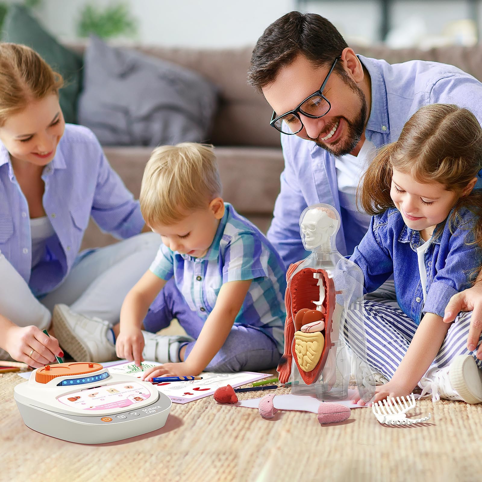 Science Can 11-Inch Talking Human Body Anatomy Model