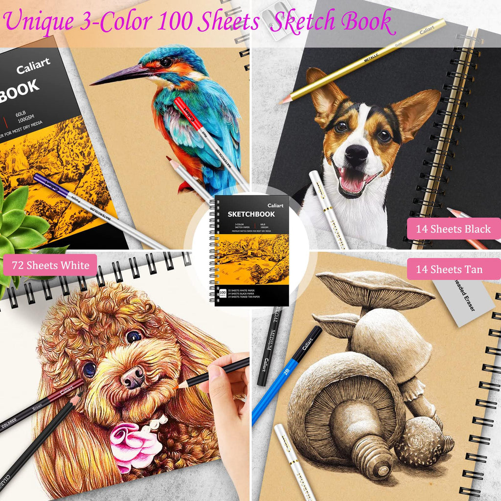 Caliart 176-Piece Sketching Kit with 100-Sheet Sketchbook