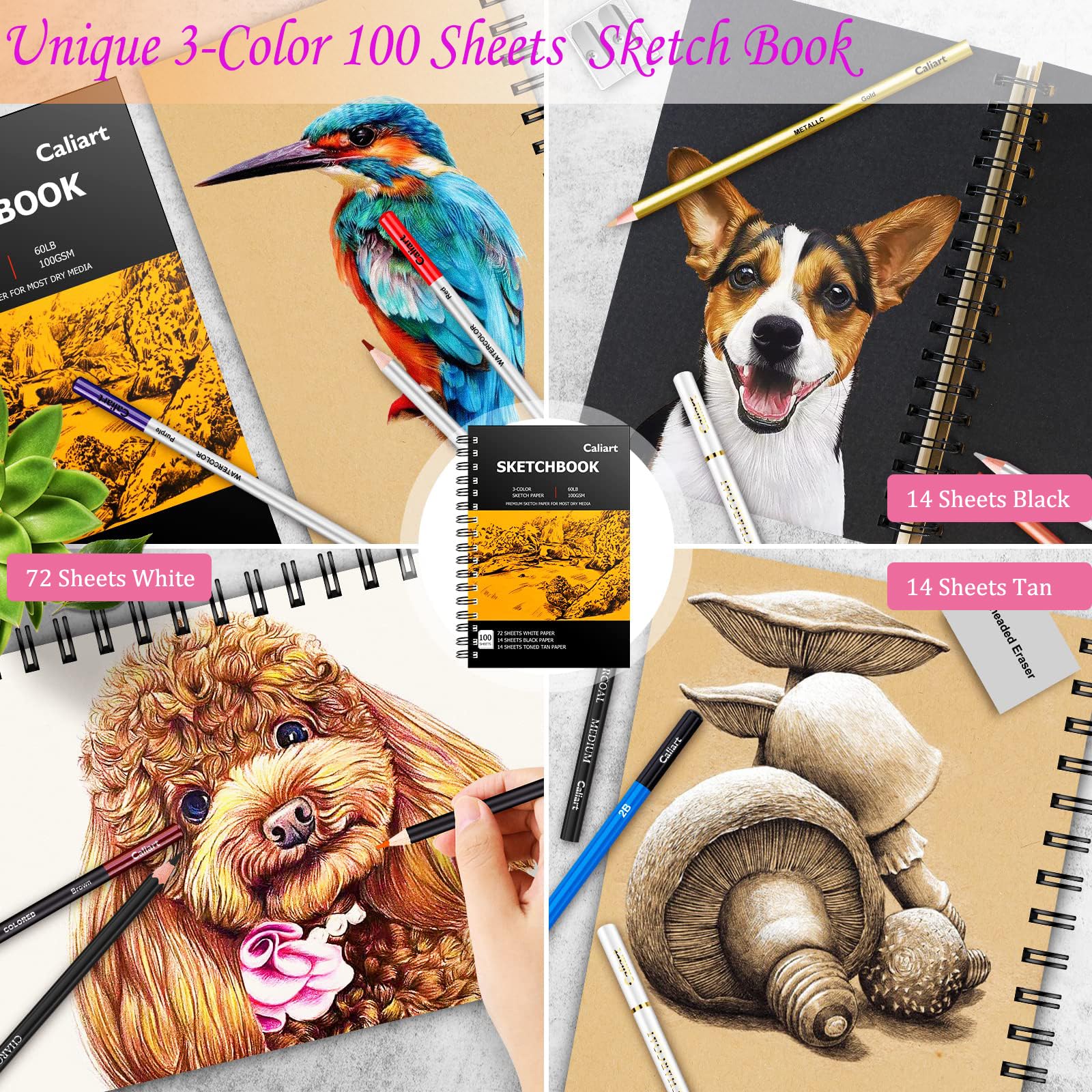 Caliart 176-Piece Sketching Kit with 100-Sheet Sketchbook